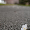 出勤前に