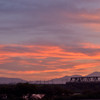 夏の夕べ