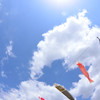 春空を泳げ