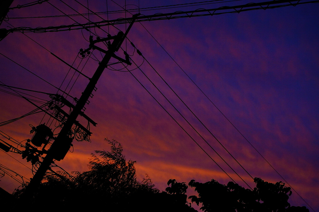 蒼い空と紅い空