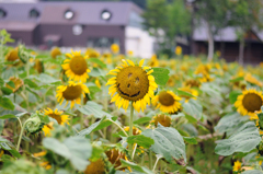 smile