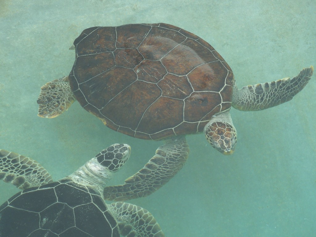 一緒に
