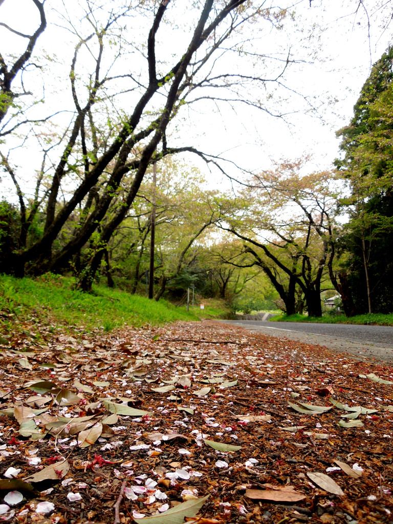 あわせ路