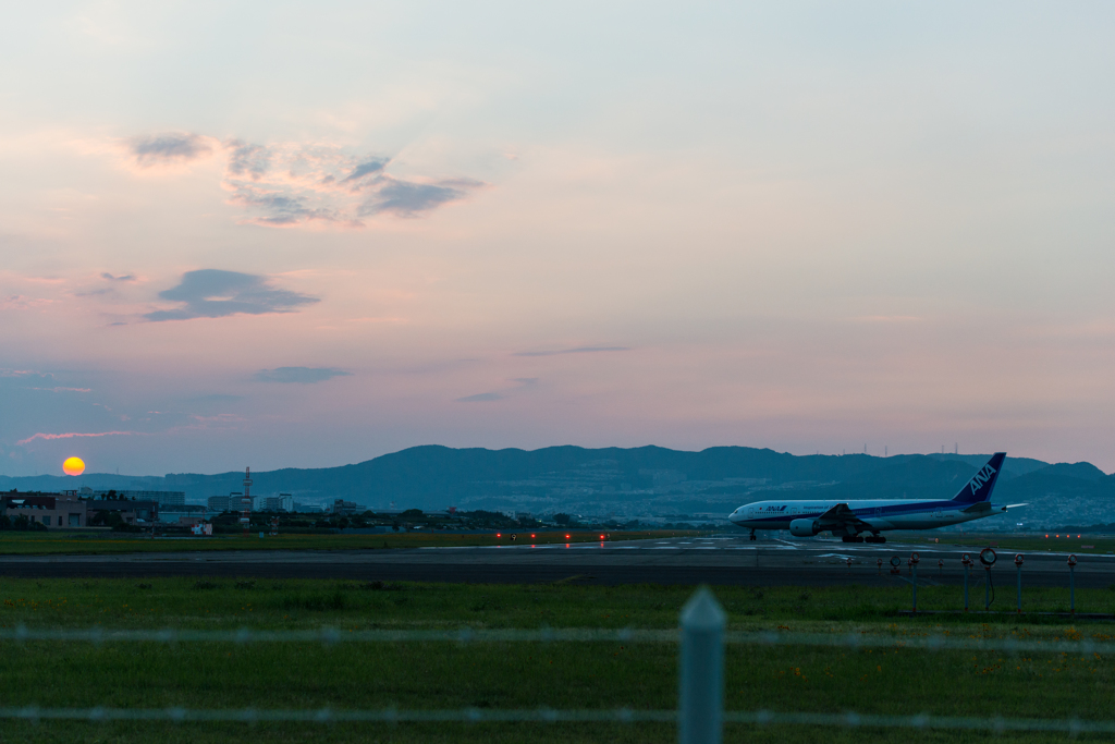 夕陽に照らされて