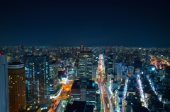 Blue night