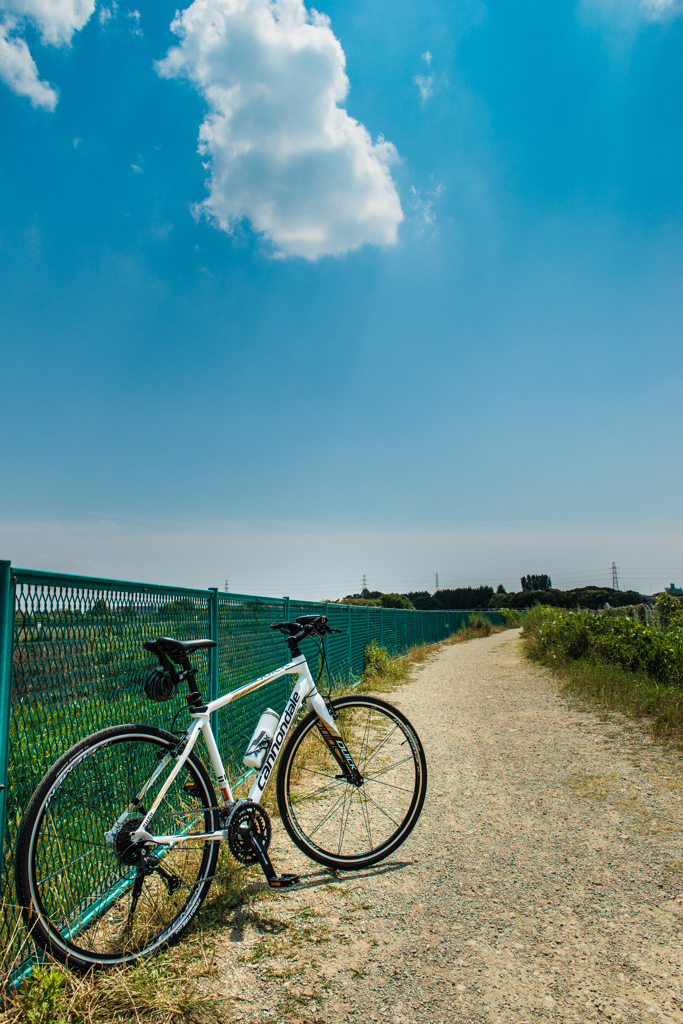 蒼い空と自転車と