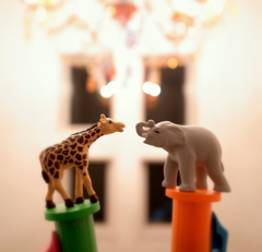 キリンとゾウ
