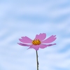 生きる