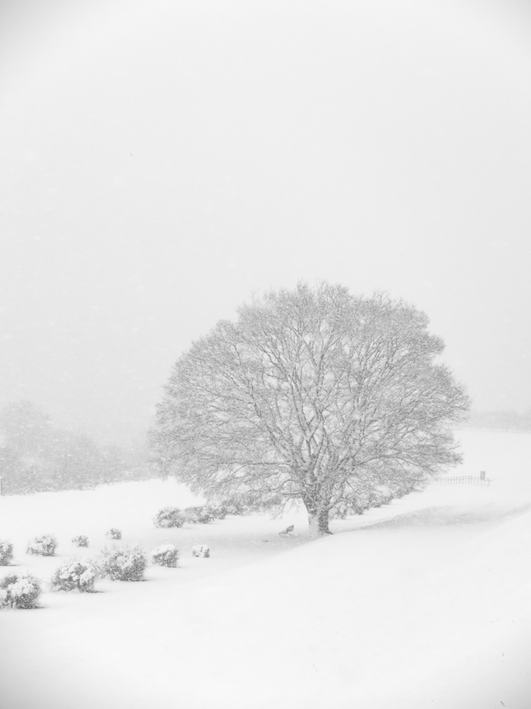 吹雪