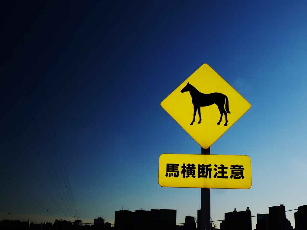 馬横断注意