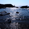 やっぱり海が好き