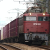 EF81 301