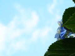 空へ