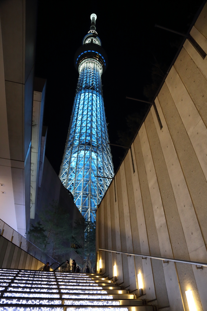東京ｽｶｲﾂﾘｰ