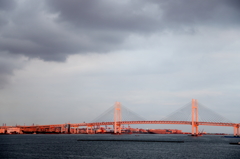 ピンク・ライト