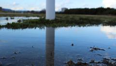 Puddle