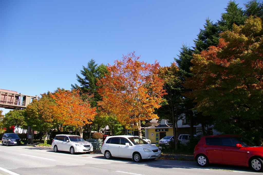 紅葉だぁ