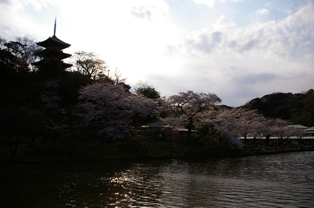 三重の塔