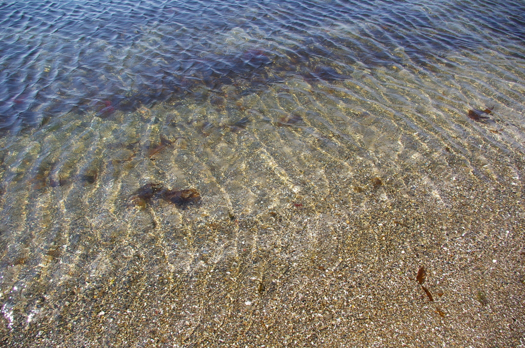 美しい海のみなも