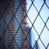 進化する都市