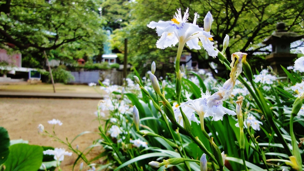 三角寺