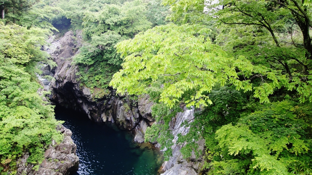 保土野渓谷