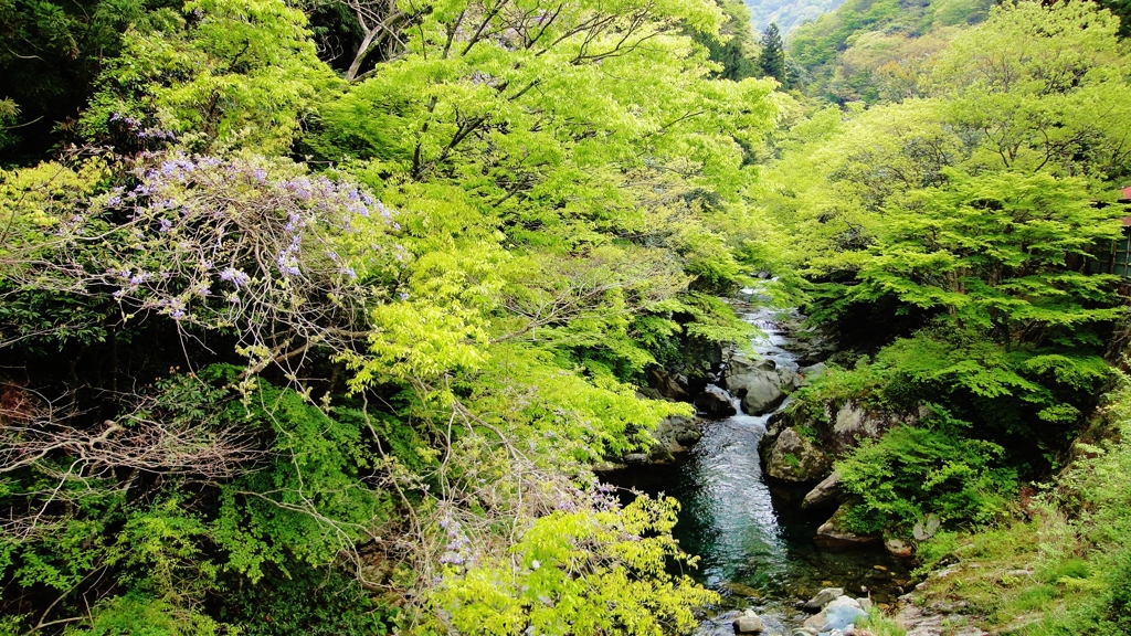 猿田川