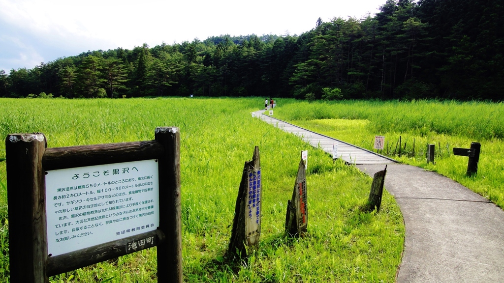 黒沢湿原