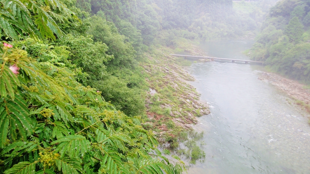 沈下橋