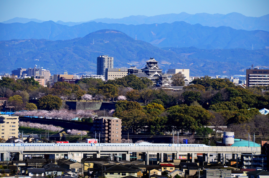 ご支援有難うございます　1