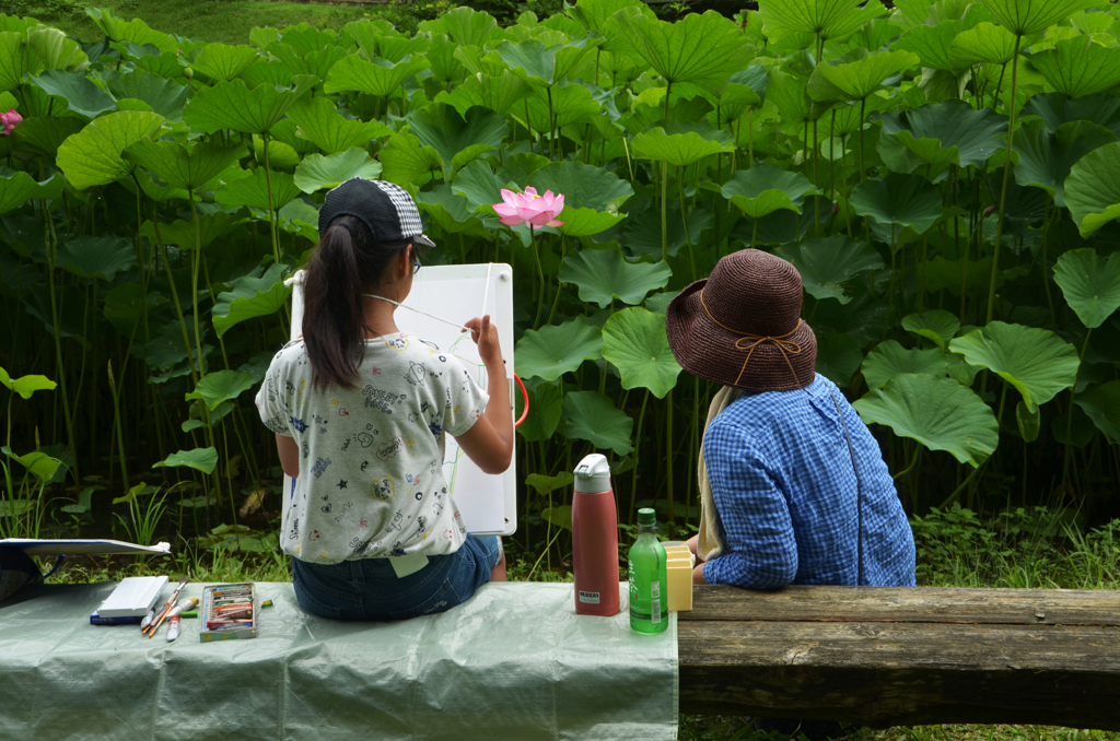 蓮の花咲く頃　4