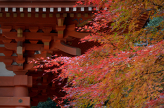 清水寺の秋