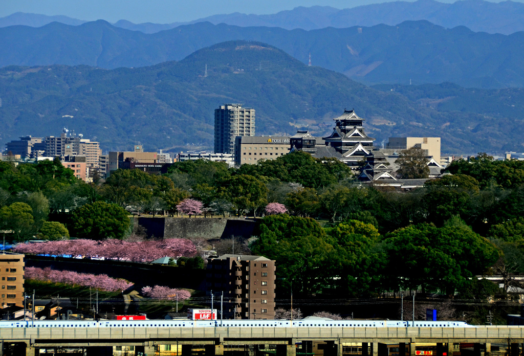 今年一年有難うございました