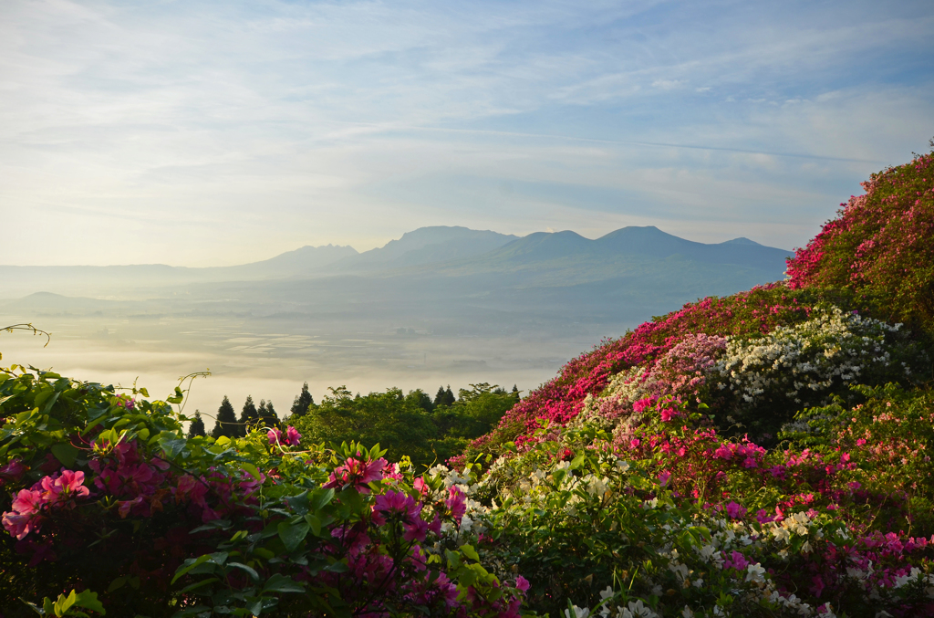 天空の花園