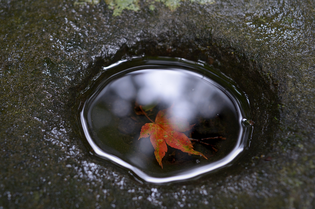 古寺の彩り　15