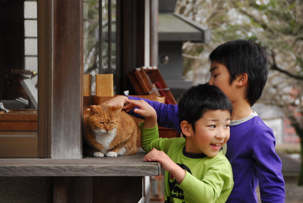 少年と猫　2