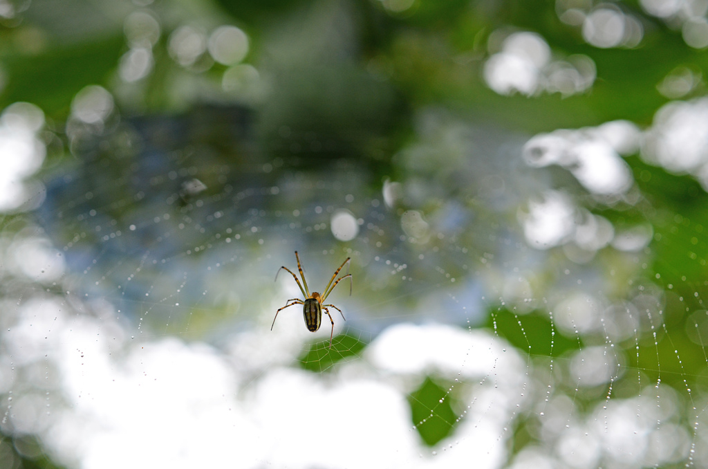 雨のち曇り