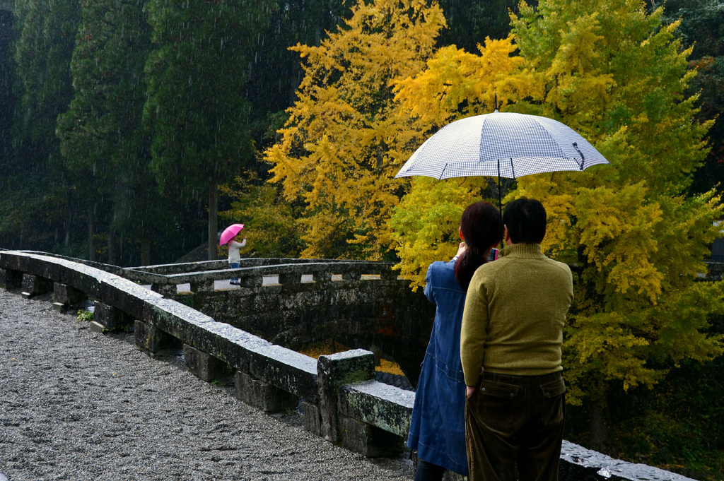 雨の日