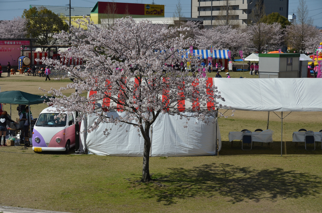 祭りの朝