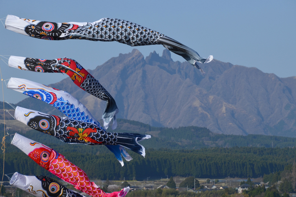 風はもう五月