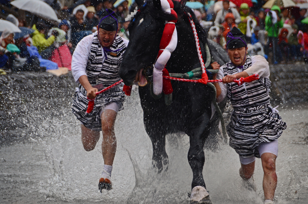 迫力、神馬の馬追