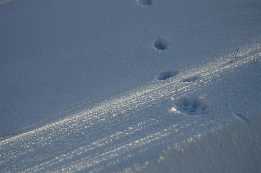 雪の阿蘇　3