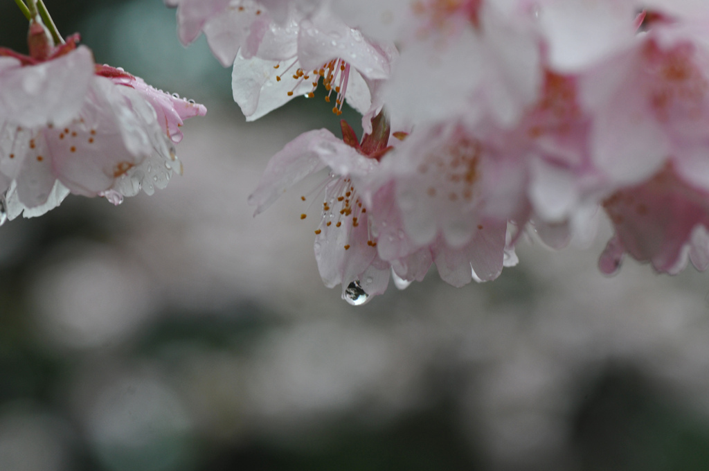 雨のなかで