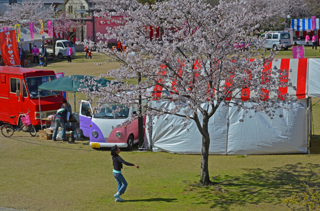 花祭りの朝