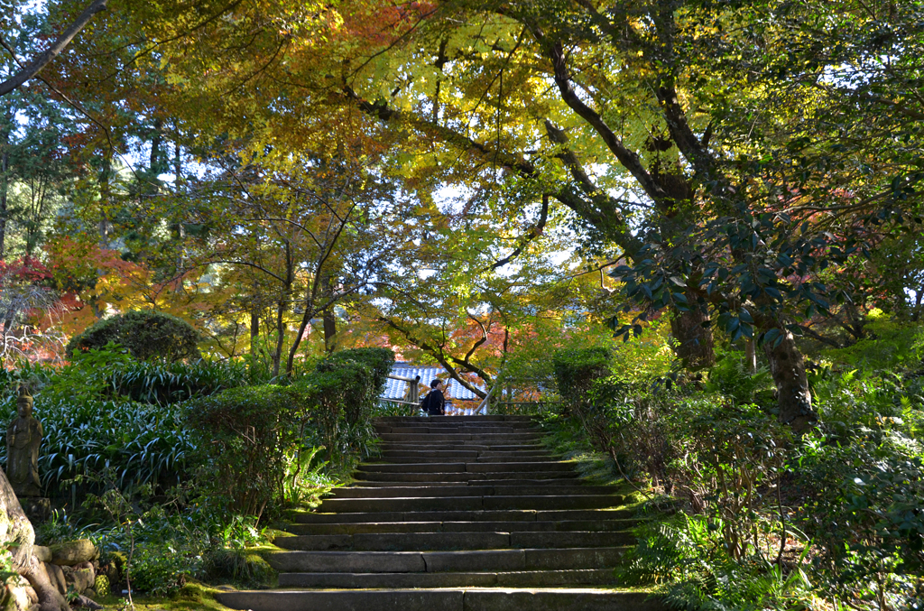 古寺の彩り　10