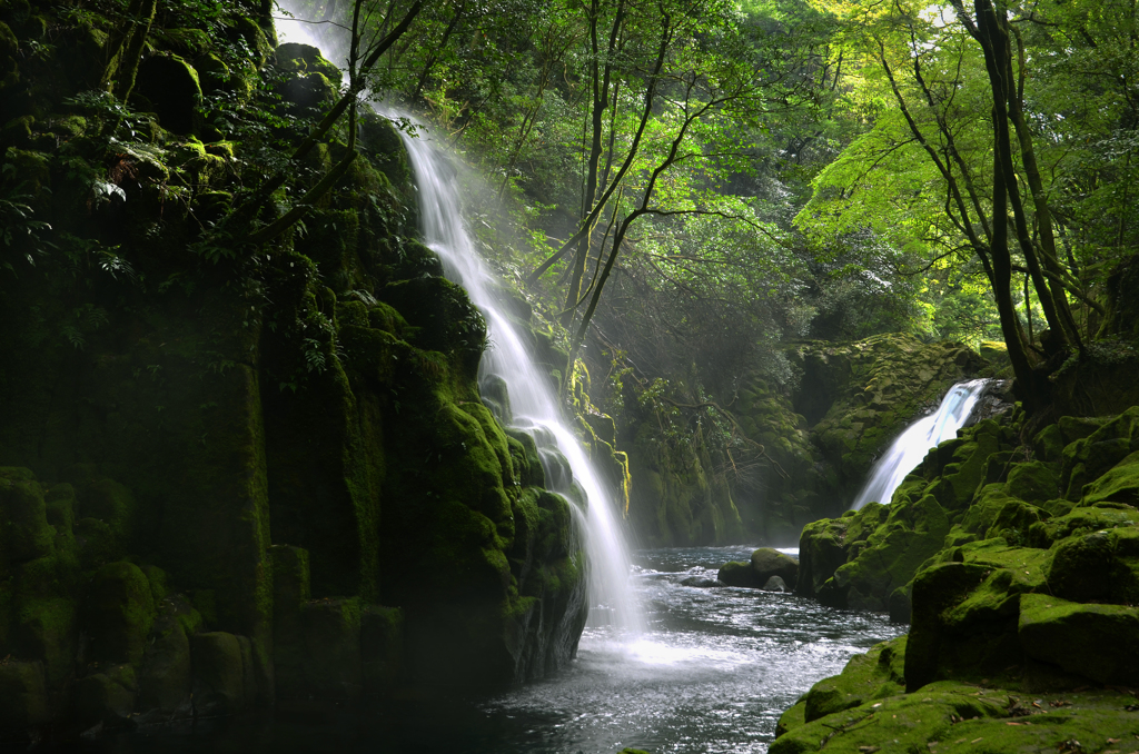 森の力、水の恵み　2　