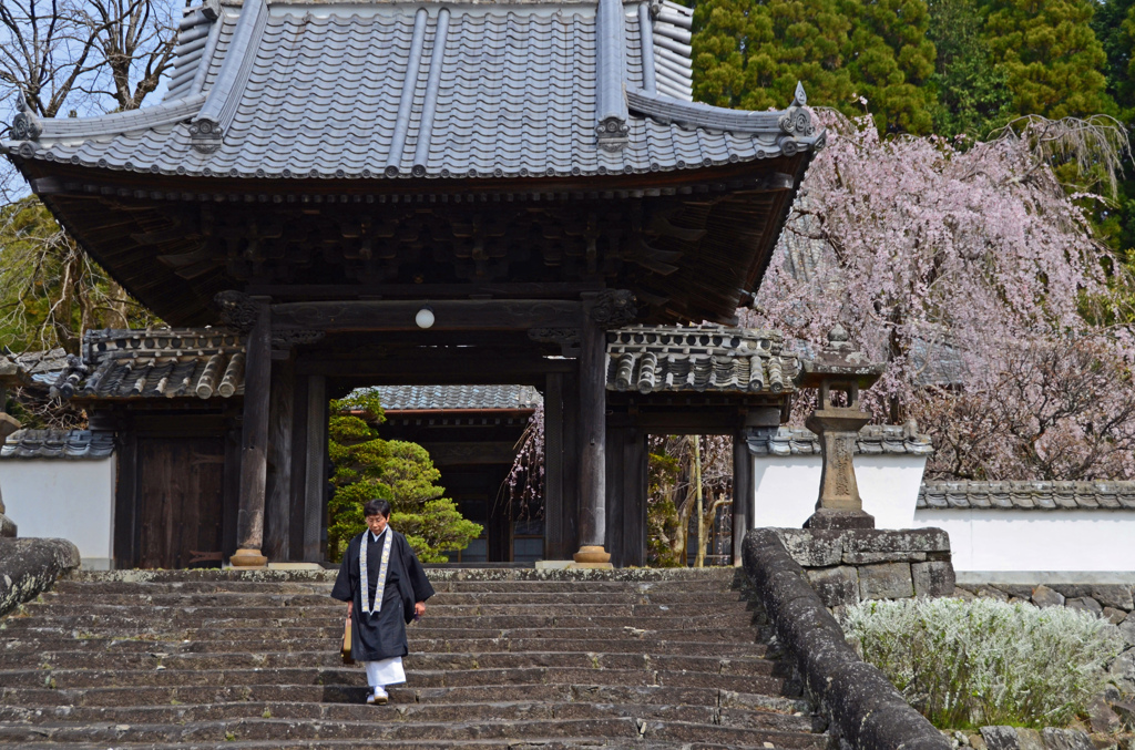 城下町竹田の花めぐり　１