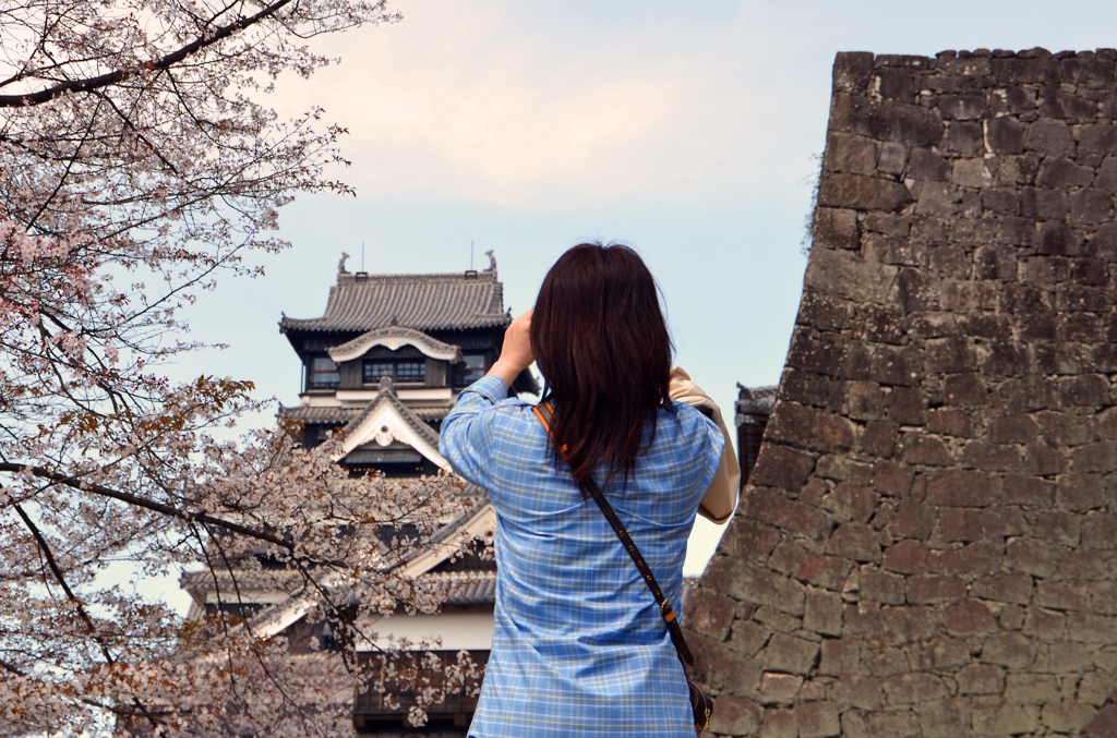 熊本城と桜と