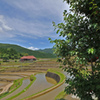 田植えの頃