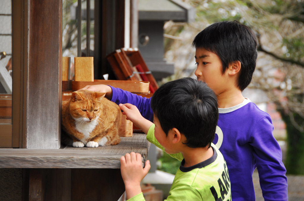 少年と猫